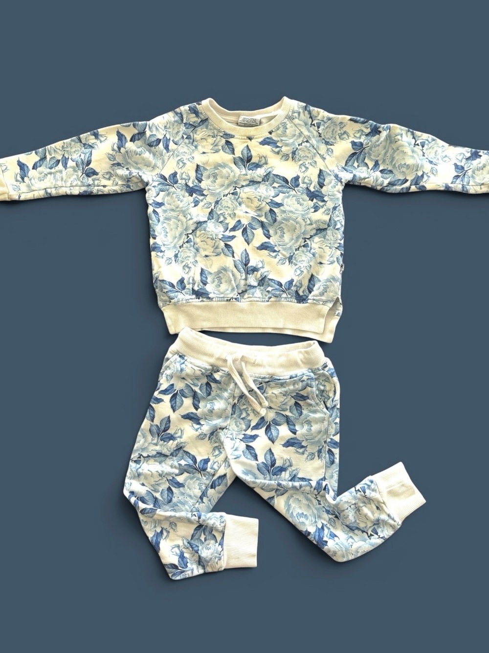 Bums & Roses Girls 2T Blue White Floral Bamboo Jogger Set Sweatshirt Lounge Outf